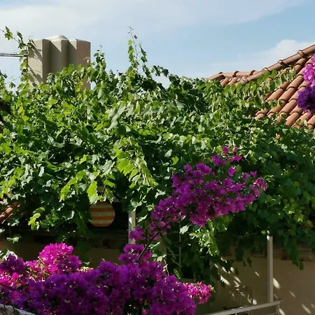 Memento Vivere Garden Next To Old Town * Dubrovnik